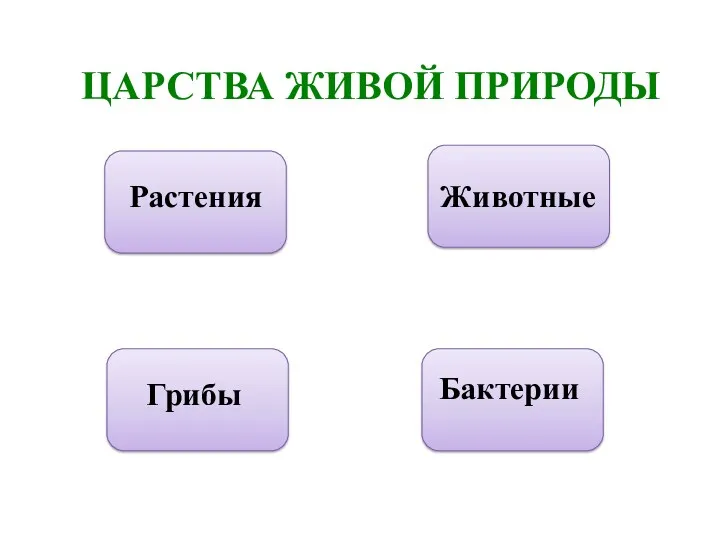 ЦАРСТВА ЖИВОЙ ПРИРОДЫ Растения Животные Бактерии Грибы