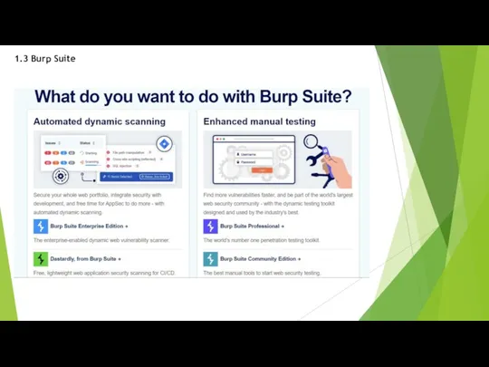 1.3 Burp Suite