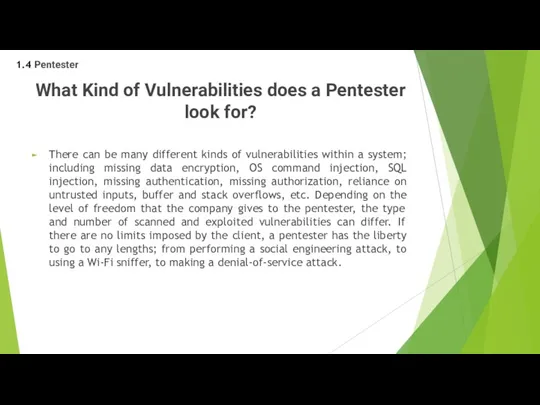 What Kind of Vulnerabilities does a Pentester look for? There