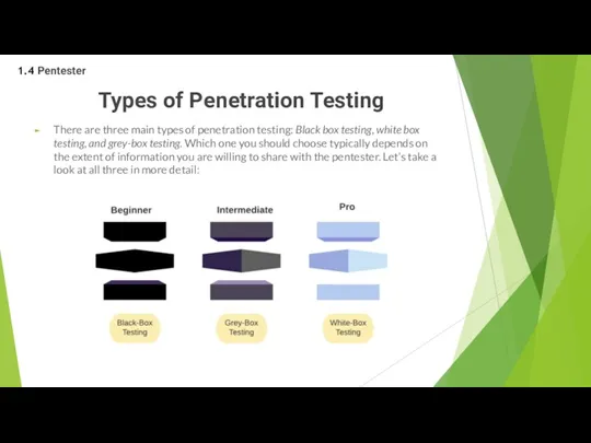 Types of Penetration Testing There are three main types of