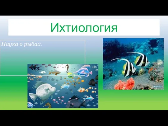 Ихтиология Наука о рыбах.