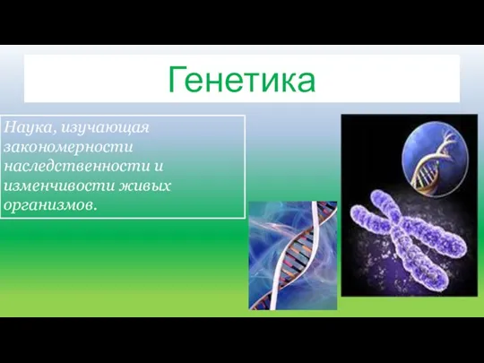 Генетика Наука, изучающая закономерности наследственности и изменчивости живых организмов.