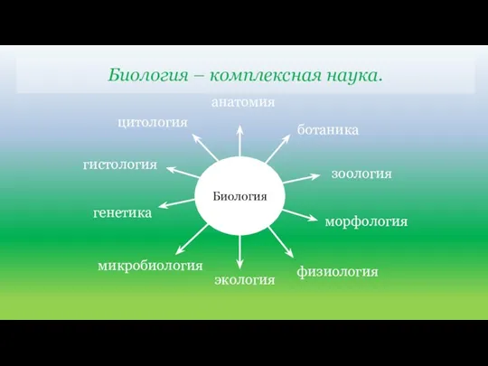 Биология – комплексная наука. ботаника зоология морфология физиология анатомия цитология гистология генетика микробиология экология Биология