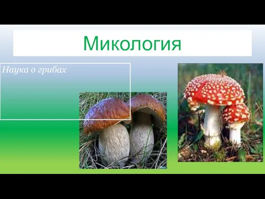Микология Наука о грибах