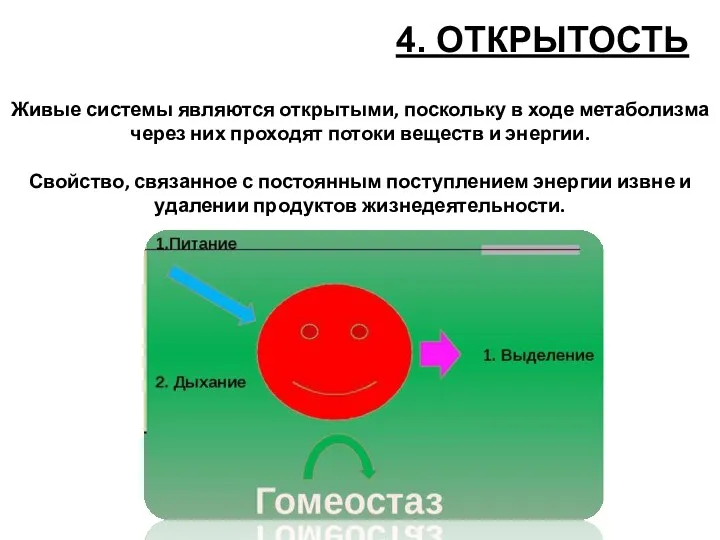 4. ОТКРЫТОСТЬ Живые системы являются открытыми, поскольку в ходе метаболизма