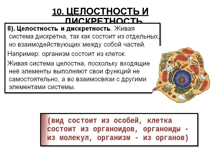 10. ЦЕЛОСТНОСТЬ И ДИСКРЕТНОСТЬ