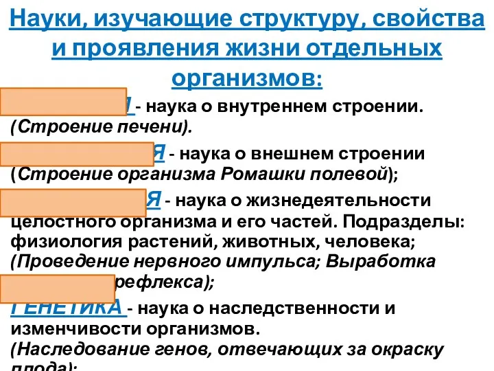 Науки, изучающие структуру, свойства и проявления жизни отдельных организмов: АНАТОМИЯ