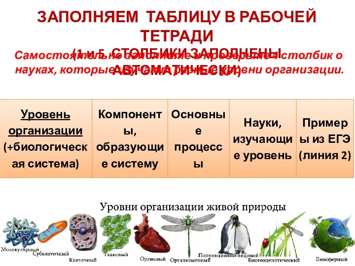 ЗАПОЛНЯЕМ ТАБЛИЦУ В РАБОЧЕЙ ТЕТРАДИ (1 и 5 СТОЛБИКИ ЗАПОЛНЕНЫ