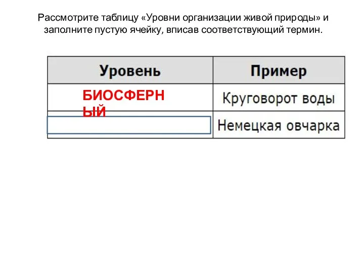 Рассмотрите таблицу «Уровни организации живой природы» и заполните пустую ячейку, вписав соответствующий термин. БИОСФЕРНЫЙ