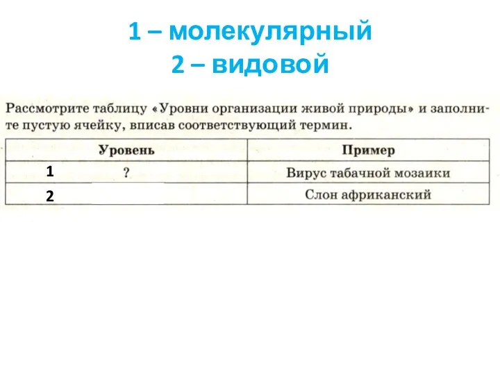 1 – молекулярный 2 – видовой 1 2