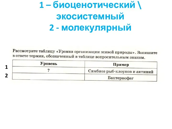 1 – биоценотический \ экосистемный 2 - молекулярный 2 1