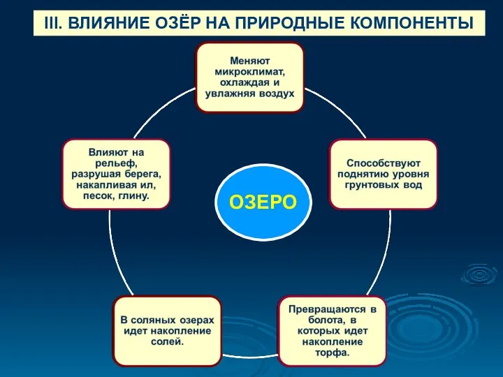 III. ВЛИЯНИЕ ОЗЁР НА ПРИРОДНЫЕ КОМПОНЕНТЫ ОЗЕРО