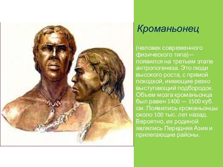 Кроманьонец (человек современного физического типа)— появился на третьем этапе антропогенеза. Это люди высокого