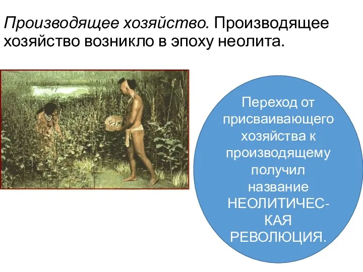 Производящее хозяйство. Производящее хозяйство возникло в эпоху неолита. Переход от присваивающего хозяйства к