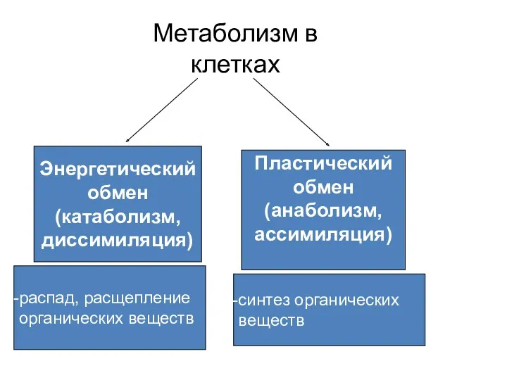 Метаболизм в клетках Энергетический обмен (катаболизм, диссимиляция) Пластический обмен (анаболизм,