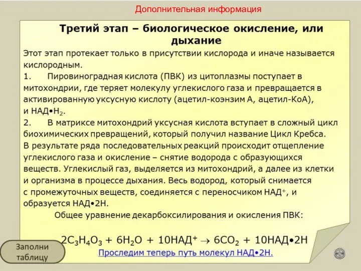 Дополнительная информация