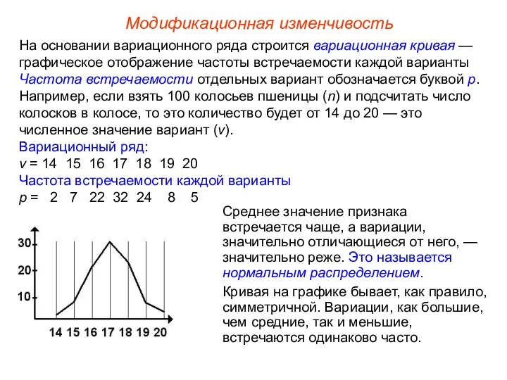 Модификационная изменчивость На основании вариационного ряда строится вариационная кривая —