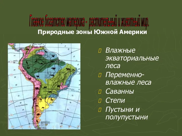 Влажные экваториальные леса Переменно-влажные леса Саванны Степи Пустыни и полупустыни Главное богатство материка