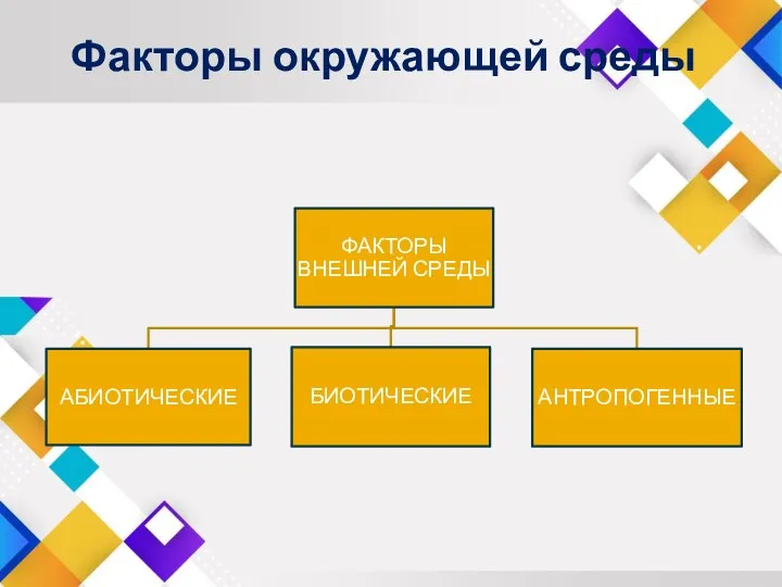 Факторы окружающей среды