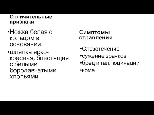 Отличительные признаки Ножка белая с кольцом в основании. шляпка ярко-красная,