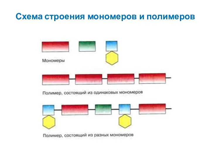 Схема строения мономеров и полимеров