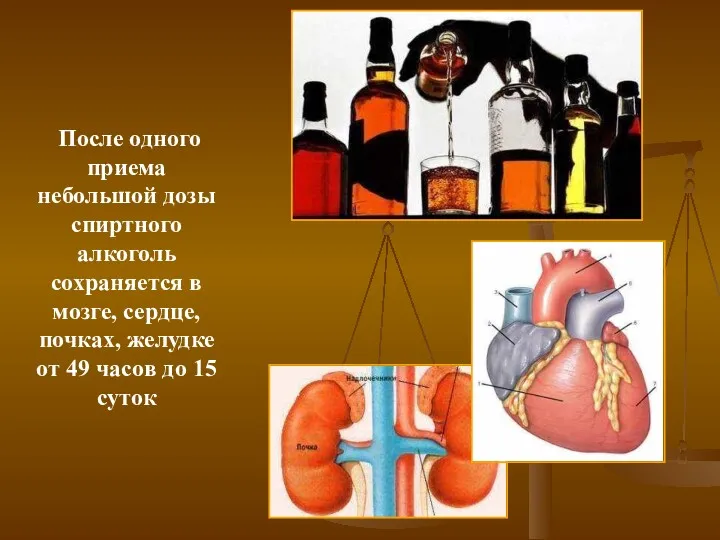 После одного приема небольшой дозы спиртного алкоголь сохраняется в мозге,