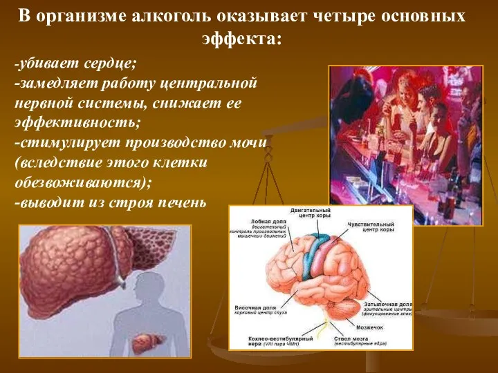 В организме алкоголь оказывает четыре основных эффекта: -убивает сердце; -замедляет