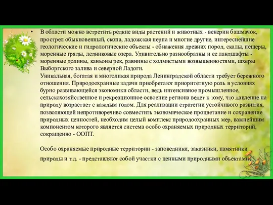 В области можно встретить редкие виды растений и животных -