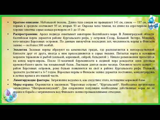 Краткое описание. Небольшой тюлень. Длина тела самцов не превышает 141