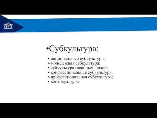 РЕМОНТ Субкультура: -национальные субкультуры; -молодежная субкультура; -субкультура пожилых людей; -конфессиональная субкультура; -профессиональная субкультура; -контркультура.