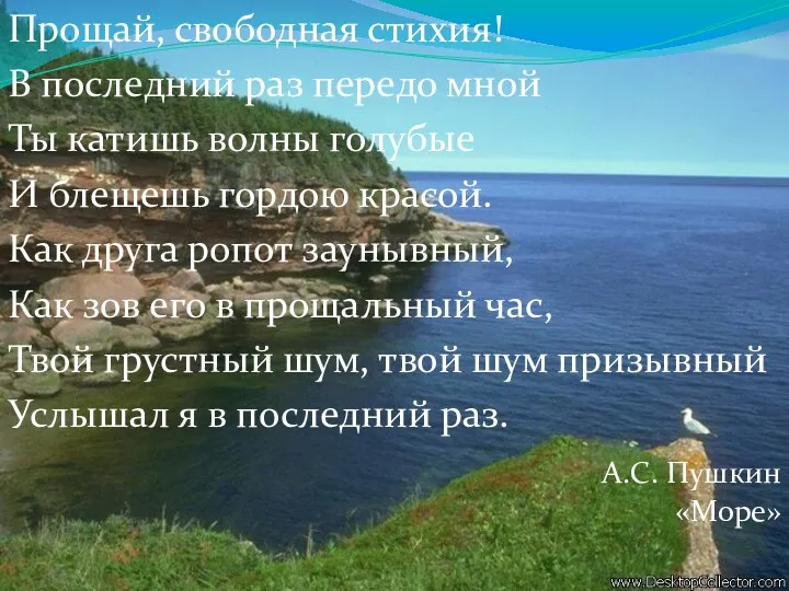 Прощай, свободная стихия! В последний раз передо мной Ты катишь