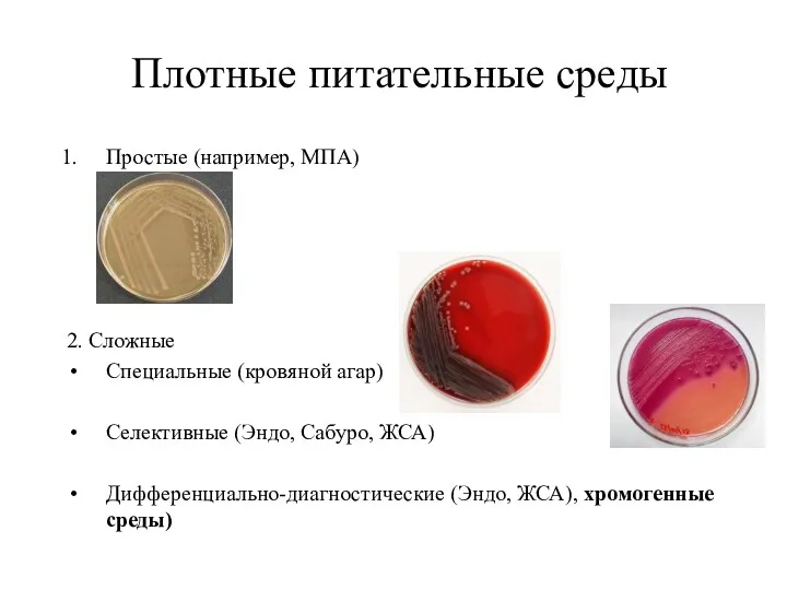 Плотные питательные среды Простые (например, МПА) 2. Сложные Специальные (кровяной