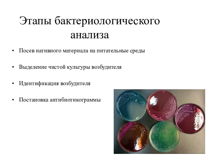 Этапы бактериологического анализа Посев нативного материала на питательные среды Выделение