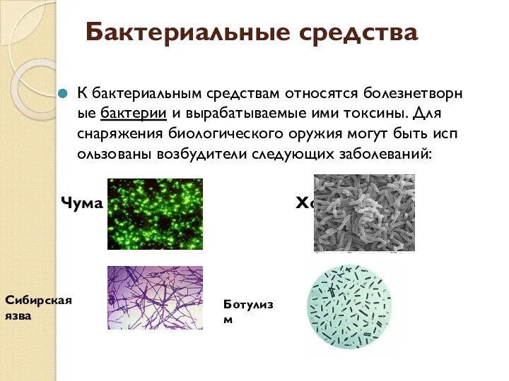 Бактериальные средства К бактериальным средствам относятся болезнетворные бактерии и вырабатываемые