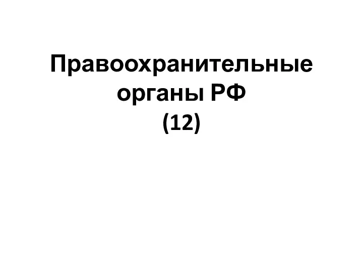 Правоохранительные органы РФ (12)