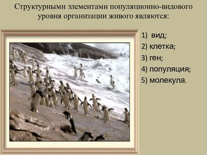 Структурными элементами популяционно-видового уровня организации живого являются: 1) вид; 2)