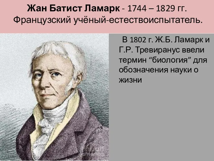 Жан Батист Ламарк - 1744 – 1829 гг. Французский учёный-естествоиспытатель.