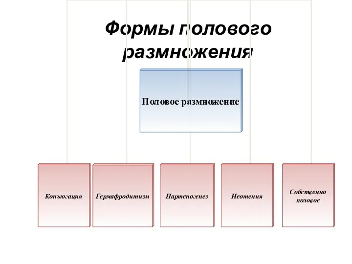 Формы полового размножения