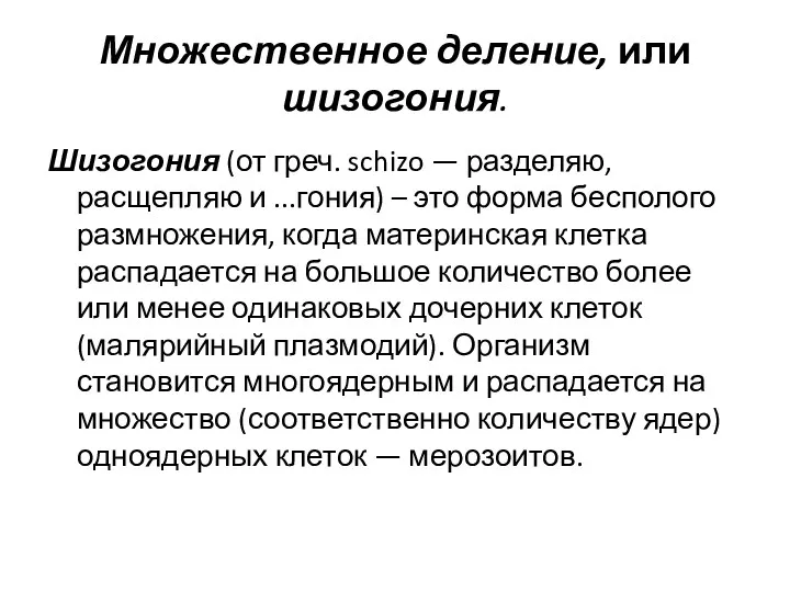 Множественное деление, или шизогония. Шизогония (от греч. schizo — разделяю,