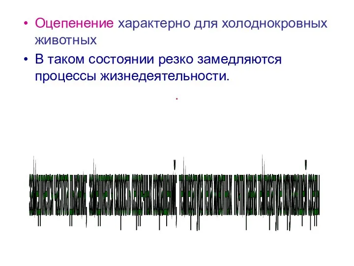 Оцепенение характерно для холоднокровных животных В таком состоянии резко замедляются