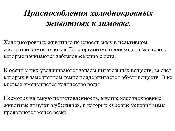 Приспособления холоднокровных животных к зимовке. Холоднокровные животные переносят зиму в