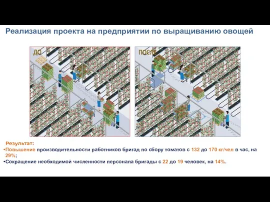 Результат: Повышение производительности работников бригад по сбору томатов с 132