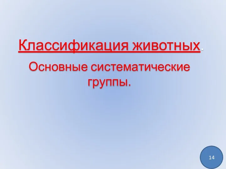 Основные систематические группы. Классификация животных. 14