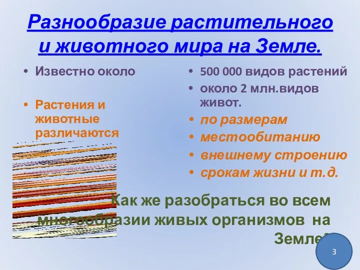 Разнообразие растительного и животного мира на Земле. Известно около Растения