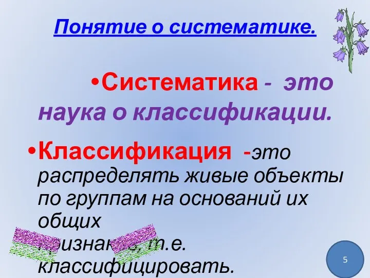 Понятие о систематике. Систематика - это наука о классификации. Классификация