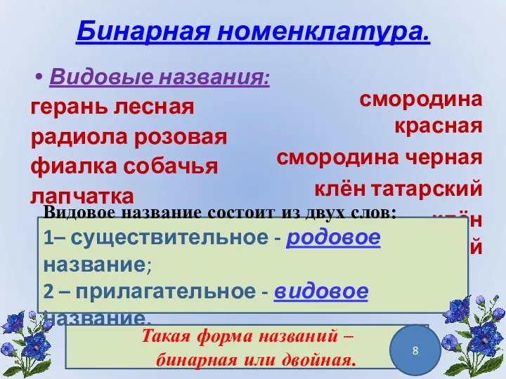 Бинарная номенклатура. Видовые названия: герань лесная радиола розовая фиалка собачья