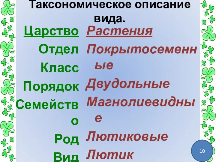 Таксономическое описание вида. Царство Отдел Класс Порядок Семейство Род Вид