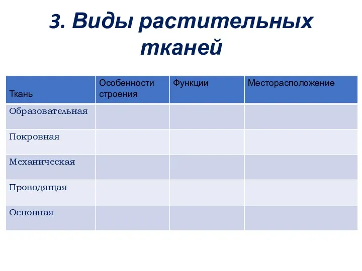 3. Виды растительных тканей