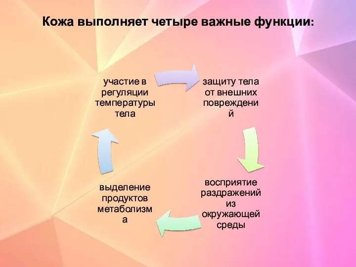 Кожа выполняет четыре важные функции: