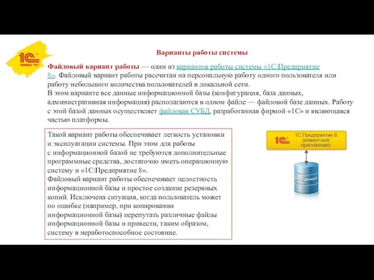 Варианты работы системы Файловый вариант работы — один из вариантов